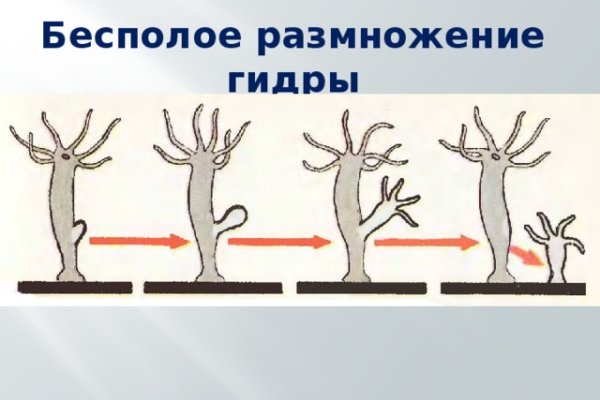 Как найти официальный сайт кракен