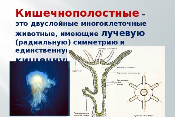 Кракен маркет онион