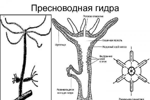 Кракен маркет свежие ссылки